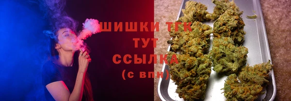 стаф Верея