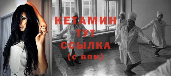 стаф Верея