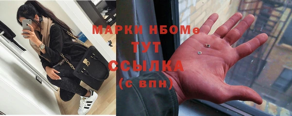 стаф Верея