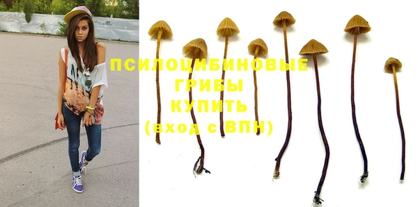 мдма Сосновка