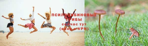 стаф Верея
