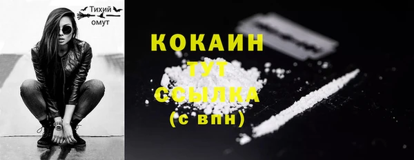 стаф Верея
