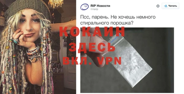 стаф Верея