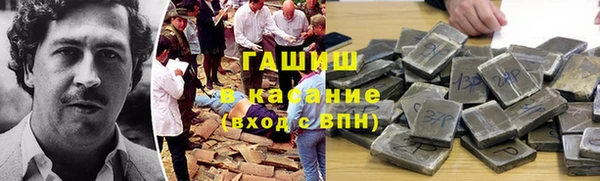 стаф Верея