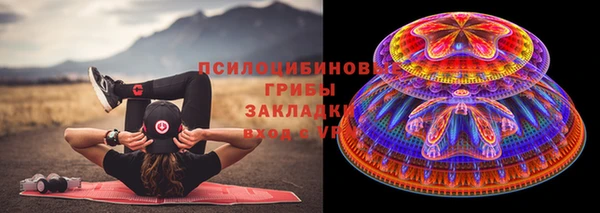 дурь Сосновый Бор