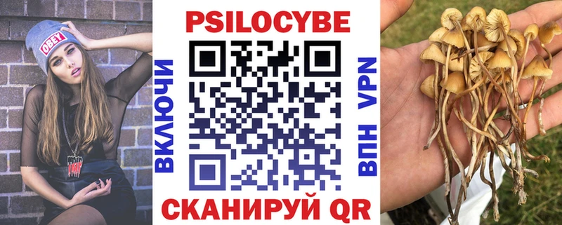 мега ссылки  где найти   Нея  Псилоцибиновые грибы Cubensis 